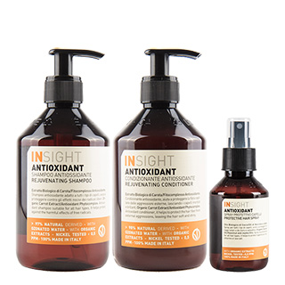 Insight Anti Oxidant Holiday Trio - includes Shampoo, Conditioner and Protective Spray