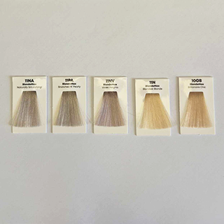 2025 New Tonal Control Swatches (Blonde Max)